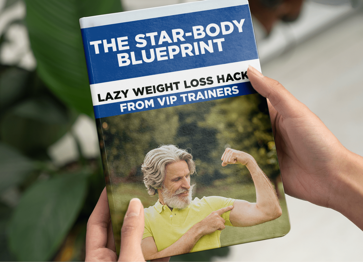 Star-Body Blueprint